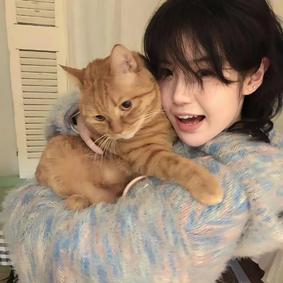 在首领猎人的土地上海报
